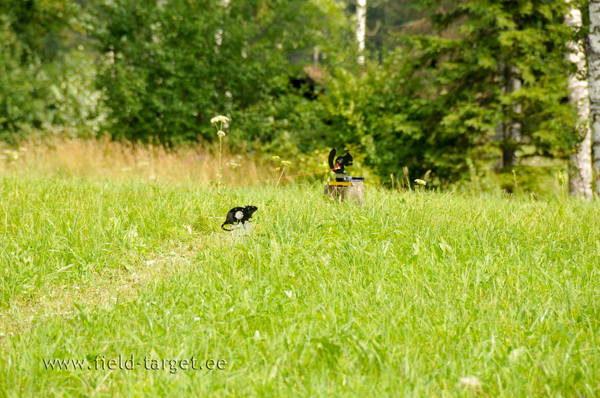 Märkide paigutus peaaegu nagu Eestis